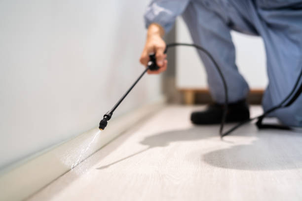 Bed Bug Pre-Treatment Preparation Assessment in Anderson