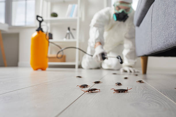 Post-Treatment Bed Bug Interceptor Monitoring in Anderson
