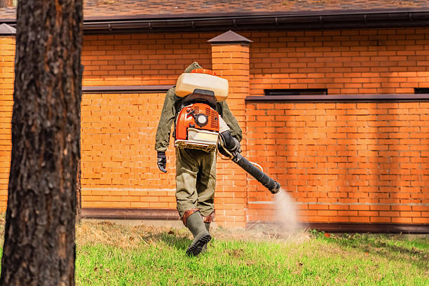 Bed Bug Clearance Verification and Documentation in Anderson
